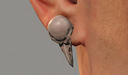 Bird Skull - Lobe Lower (R)