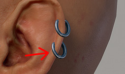 Vanilla Ring - Helix Lower (L)